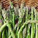 7 x Seeds Mary Washington Asparagus Green Non GMO Heirloom