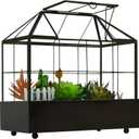 YIMORENCE V Large Tall Plant Terrarium Glass Greenhouse with Lid and Tray, Indoor Tabletop Orchid Succulent Cacti Kit 9.5'X9.8'X5.6'