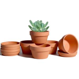 vensovo 3.7 Inch Terracotta Shallow Succulent Pots - 6 Pack Terra Cotta Clay Pot with Saucer, Cacuts Indoor and Outdoor Planters with Drainage Hole (Brown)