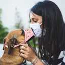 HEELE Dog Muzzle,Soft Nylon Muzzle Anti Biting Barking Chewing,Air Mesh Breathable Drinkable Adjustable Loop Pets Muzzle for Small Medium Large Dogs 4 Colors 4 Sizes (P-Pink Flower, L)