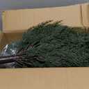 FAJUNZH Artificial Topiary Bushes for Outdoors with Spike, Boxwood Ball Fake Shrubs UV Resistant Faux Plants for Indoor Outdoor Fall Thanksgiving Halloween Decor (Cedar Topiary Ball Trees), 15.3"D x 15.3"W x 23.6"H