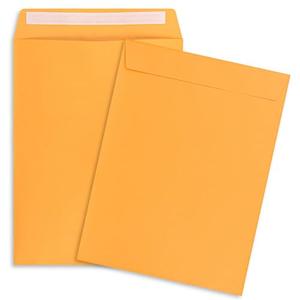 9x12 Envelopes Self Seal 50 Pack Manilla Envelopes Catalog Mailing Envelopes 9x12 Self Sealing Envelopes for Photos,Cards,Documents