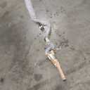 Daiwa Telescopic Medium-Heavy Action Accudepth Trolling Rod (1 Piece) (One Size)