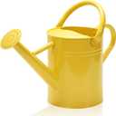 Ausluru Metal Watering Can with Removable Spout, Galvanized, Perfect for Indoor and Outdoor Use (1 Gallon, Yellow)