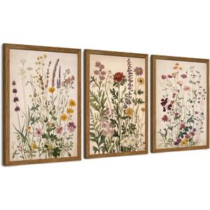 WRFON Botanical and Flower Canvas Wall Art, Framed Wildflower Wall Art Set of 3, Vintage Meadow Flower Canvas Prints, Cottagecore Floral Decor for Living Room Bedroom Bathroom Farmhouse Home, 16x24