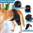 Dog Knee Brace for Torn ACL Hind Leg, Adjustable Front Back Leg Support Vet-Recommended Dog Joint Protection Arthritis Pain Relief Recovery Brace for Small Medium Large Dogs
