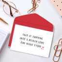 Naughty Amazing One Night Stand Happy Valentines Day Card, Cheeky Love Miss You Card for Him Her, Special Anniversary Card (Q4)