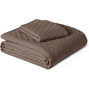 Amazon Basics Brushed Microfiber Quilt Set, Extra Soft with Natural Texture, 2-Piece, Twin/Twin XL, Brown