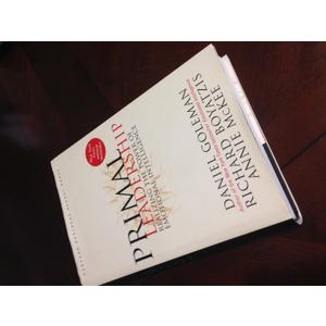 Primal Leadership: Realizing the Power of Emotional Intelligence