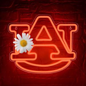 University Neon Sign for Wall Decor,University LED Neon Light Sign,Football Neon Signs,Neon Signs for Man Cave,College Name Lights,Dorm Decor for Students,Men,Teens,Size 13.8 * 11.8inch(FMXD384)