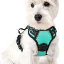 rabbitgoo Dog Harness No Pull with 2 Leash Clips, Adjustable Soft Padded, Reflective Oxford No Choke Pet Vest with Easy Control Handle for Puppy, Turquoise, XS