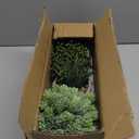 Set of 3 Assorted Small Potted Succulent Plants Fake Aloe String of Pearls Hops Succulents in Gray Geometric Concrete Ceramic Pots for Gifts Modern Home Office Desk Table Indoor Outdoor Greenery Decor