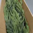 4ft Christmas Norfolk Pine Tree Artificial Christmas Tree Faux Potted Plants for Front Porch Christmas Indoor Outdoor Decor