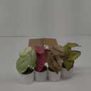 Set of 4 Realistic Artificial Plants Fake Greenery Small Potted for Farmhouse Kitchen Table Centerpieces Home Office Shelf Desk Decor