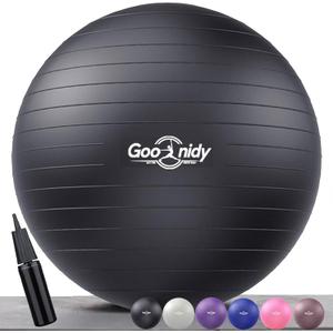 PL-0015 Soft Exercise Ball, Anti-Burst Yoga Ball Chair Supports 2200lbs PL-0015 (25, Black)