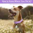 Wisedog Waterproof Dog Collar with Airtag Holder, Adjustable Soft Rubber Coated Webbing, Odor-Proof and Easy to Clean for Small Medium Large Dogs(S|8.5"-12.5" 4/5 in, Lilac)