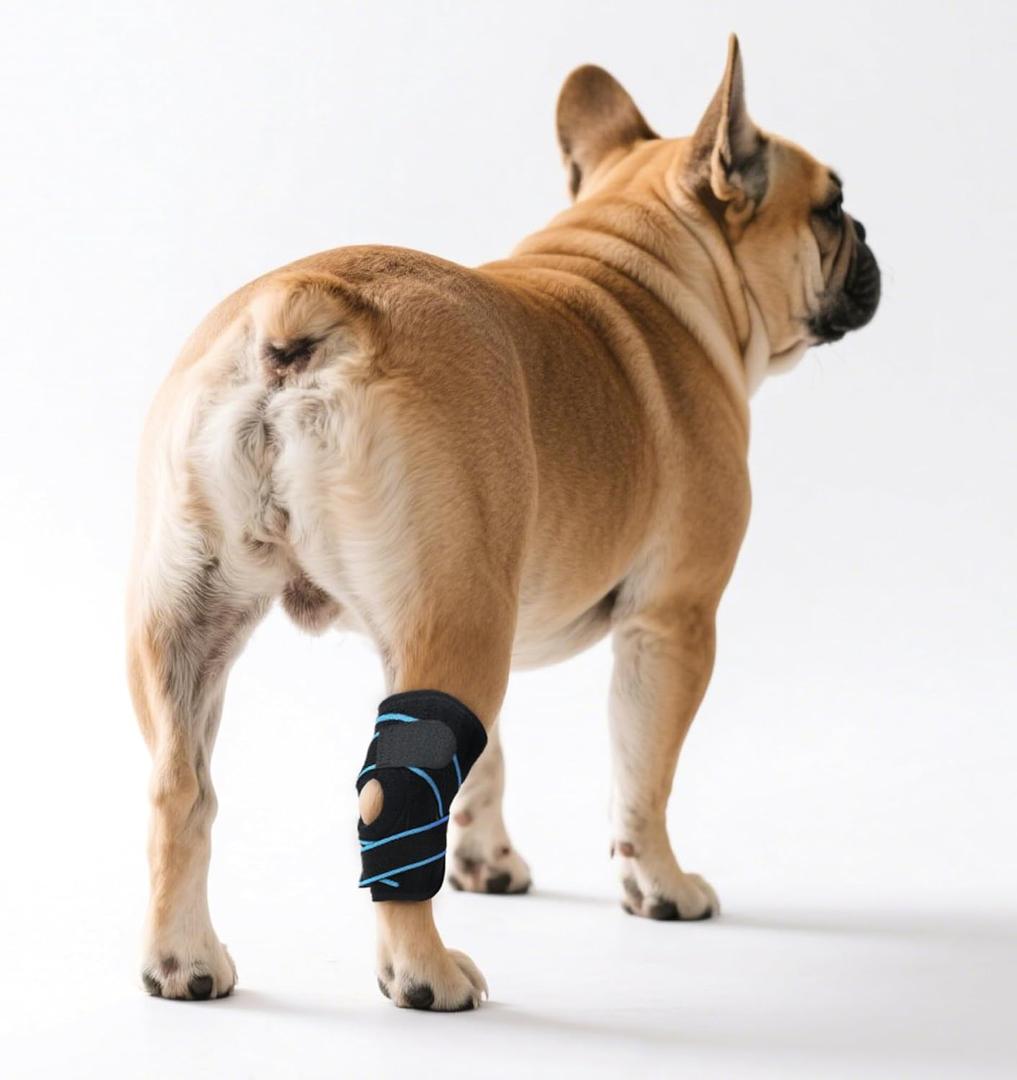 Dog Leg Braces for Rear Leg & Ankle Support - Adjustable Double Strap Brace for Senior Dogs | ACL, Ligament Injury Recovery & Hock Protection (Medium)