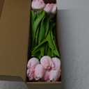 MACTING 30 PCS Artificial Tulip Flowers 13.7" Real Touch Fake PU Tulips Bouquet Faux Flowers for Floral Arrangements Table Centerpiece Kitchen Home Indoor Outdoor Summer Decorations(Peach Pink)