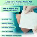 Areza Silver Calcium Alginate Antibacterial Wound Dressing Pads  Sterile, Non-Stick, Highly Absorbent; for Wound Drainage & Infection Risk (4.254.25, 20-Pack per Box), 1 Box