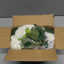 TELDRASSIL 4Pcs(26 FT) Artificial Rose Vine Fake Flower Garland Fake Silk Rose Hanging Vine for Wedding Party Background Arch Garden Background Decoration (White)