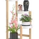 Wisuce Bamboo Plant Stands Indoor, 4 Tier Tall Corner Plant Stand Holder & Plant Display Rack for Outdoor Garden Indoor Home (4 Tier -2)