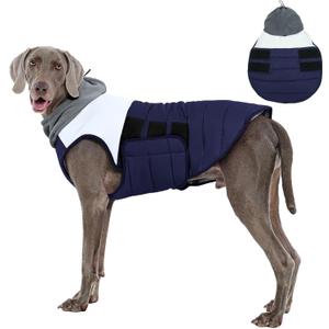 FUAMEY Coats for Dogs Navy L, Winter Jacket Large Dogs Fast Wear for Outdoor Walks, Leash Hole Allows Easy Leash Clip,(L-Navy)