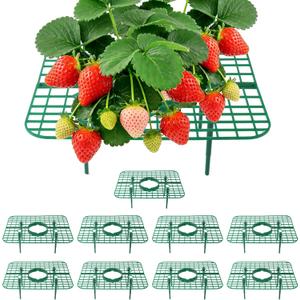 Strawberry Plant Support, 10 Pack, Raised Grid Stand to Keep Strawberries Off the Ground, Strawberry Holder for Garden Beds, Raised Planters & Pots (Square)
