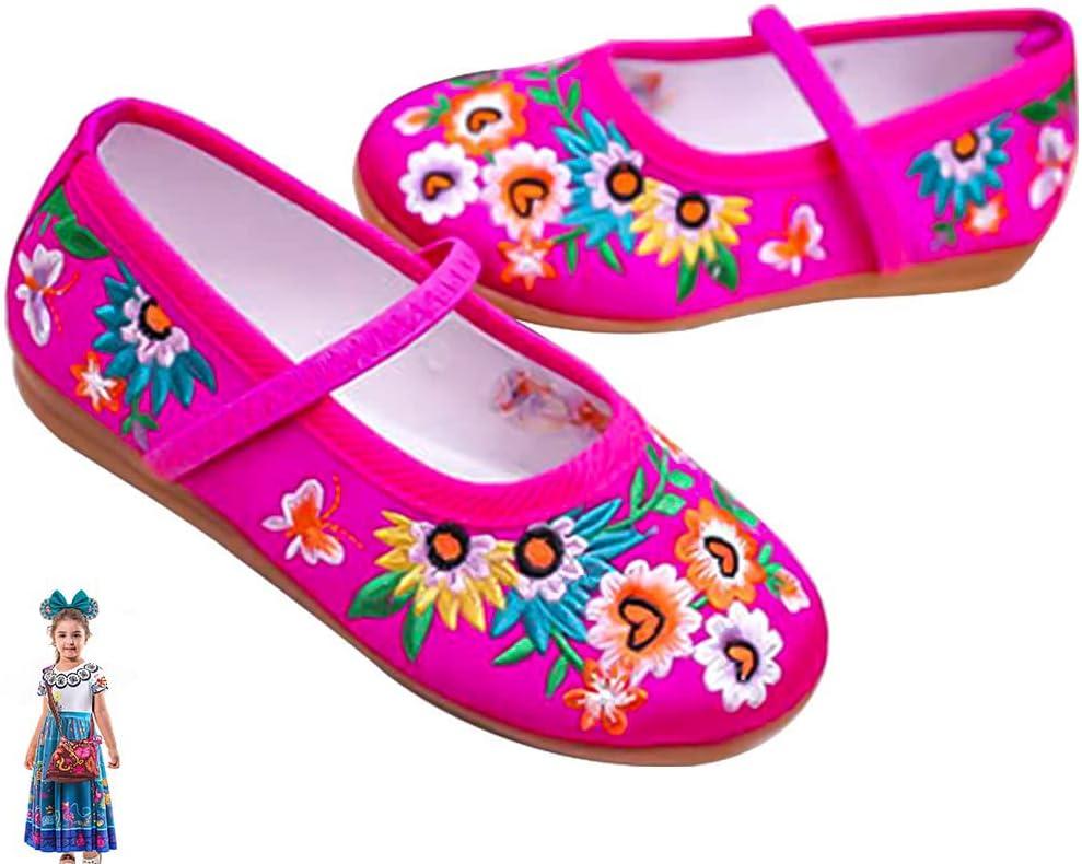 Princess Costume Shoes for Girls Gorgeous Mary-Jane Ballet Pumps Comfortable Low Heel Round Toe Flats Floral Embroidery Shoes (9.5 Toddler, Rose)
