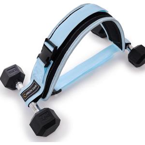 Hip Thrust Belt for Dumbbells HeavyBooty Belt for Hip ThrustDumbbell Belt for Hip Thrust (Sky Blue)