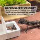 Geckopia Triple Dish | Marble