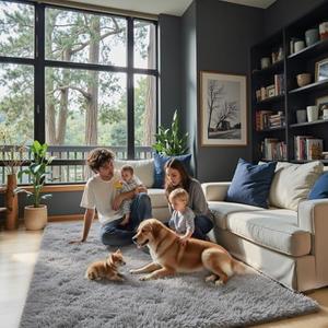 Ultra Soft Rug for Living Room, 70" x 95", Grey Shag Area Rugs for Living Room, Modern Shaggy Carpets for Teens Dorm Nursery Home, Non Slip Indoor Rugs Floor Carpet(70" x 95", Light Grey)