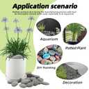 7LB River Rocks,Mexican Beach Pebbles for Plants,Potting,Garden Landscape Stone Paving Stone Grey 1Inch - 2Inch