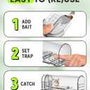 Motel Mouse Humane No Kill Live Catch and Release Mouse Traps, Reusable with Cleaning Brush - 2 Pack