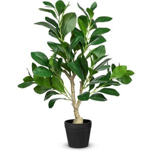 Hollyone Artificial Plants Indoor 21.7" Faux Peperomia Leaf Ficus Plant Fake Silk Plants Potted for Home Office Bookshelf Farmhouse Kitchen Bathroom Bedroom Evergreen Decor