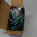 Joiedomi Clear Christmas String Lights Indoor,100 Count Mini White Fairy Light Outdoor,19.4 FT Decor for Patio Dorm Classroom Bedroom Holiday Wedding Party Garland Birthday Festival,Green Wire