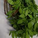 Suncalla 3 Pcs Artificial Greenery Stems 40 Inches Tall Faux Nandina Branches Fake Greenery Plants Bamboo Leaves Stems for Vase Wedding Living Room Bedroom Home Office Shop Kitchen Garden Decor