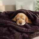 Exclusivo Mezcla Plush Fuzzy Fleece Bed Blanket Queen Size, Super Soft, Fluffy and Warm Blankets for Couch, Bed, All Season (Coffee, 90x90 Inches)