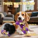 Magicorange Dog Chew Toys for Aggressive Chewers, 1 Pack Indestructible Toy for Medium/Large Breed, Nylon Dog Toys to Keep Them Busy,Bacon Flavor (Purple)