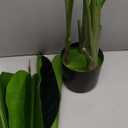 Artificial Bird of Paradise Plant,Faux Palm Tree Potted Plant with Real Touch Leaves,Fake Trees for Home Living Room Office Indoor Outdoor Decor(4FT-1Pack)