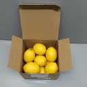 dallisten 12PCS Artificial Lemons – Lifelike Fake Yellow Lemons for Kitchen Decor, Fruit Bowl, Lemonade Party, Photo Props & Summer Table Decorations – Realistic Faux Fruit for Home & Events