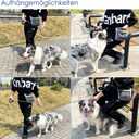 Dog Treat Pouch with Magnetic Closure 4-Cup Silicone Bag Fanny Pack Holder with Clicker 4 Ways to Wear Front Pocket Fits All Phones Ideal for Leash, Pet Walking and TrainingGray