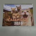 2026 Wall Calendar,Cat Calendar January - December10"x14.6" Opened, Cute Cat Selfies Theme Calendar whith Holidays Highlighted 7.3"x10" for Organizing & Planning