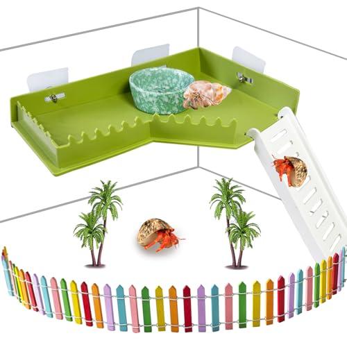 Hermit Crab Platform with Ladder Climbing Toys Hermit Crab Climbing Wall Shelf Habitat Reptile Tank Decor Terrarium Accessories for Leopard Gecko Frogs - Plastic Material
