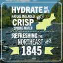 Poland Spring Maine Spring Water Bottles, 12 Pack – Crisp, Still Bottled Water with Naturally Balanced Occurring Minerals & Electrolytes for Taste - 8 Fl Oz (EXP 09/30/27)
