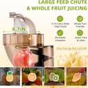 Commercial 300W Cold Press Juicer Machines - Dual Outlet for Juice & Pulp, High Yield, Masticating Juicers, Heavy Duty Stainless Steel, Quiet Motor, Easy Clean for Restaurants, Bars