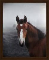 Crystal Art Gallery Highland Horse Framed Decor  18 x 22 in