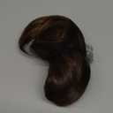 ZQIAN BEAUTY 10 Inch Ponytail Extension - Straight Pony Tails Hair Extensions, Claw Clip Ponytail Extension, Synthetic Hair Extensions Ponytail, Clip in Ponytail (Color: Brown with Blonde Highlights)