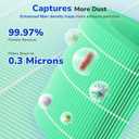 Fil-fresh Core 300 Replacement Filter, Compatible with LEVOIT 300 and Core 300S Air Purifier, Smoke Removal, H13 True HEPA Filters and Activated Carbon, Replace Core 300-RF-TX, 2-Pack (7.56*5.8*7.56 inch, Green)