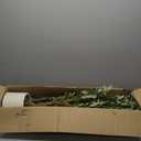 Artificial Olive Trees, 6Ft Tall Faux Olive Tree with Realistic Leaves and Fruits, Fake Potted Olive Silk Tree, Floor Plants for Living Room Bedroom Home House Office Stairs Decor Indoor