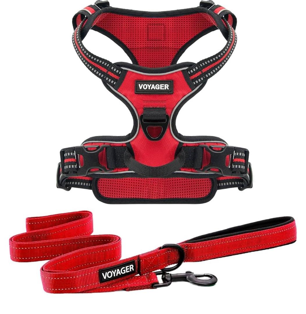 Voyager Dog Harness Dual Leash Attachment No-Pull Control Adjustable Soft but Strong Pet Harness for Medium and Large Dogs with 3M Reflective Technology, Leash Set Red Nylon, S (Chest: 16-20")